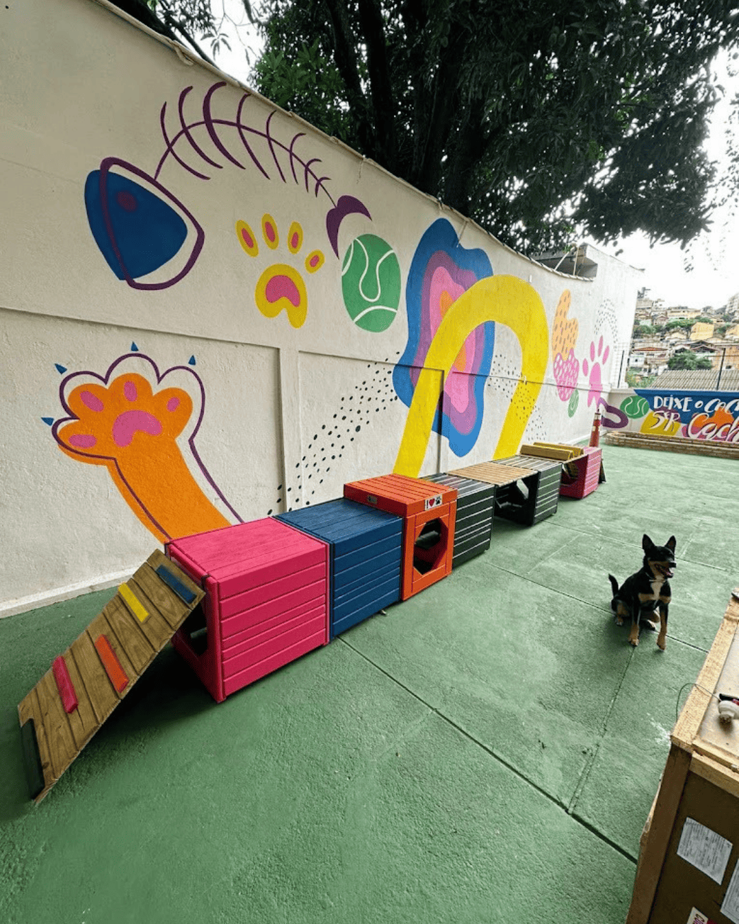 EDUCAPET BH 19